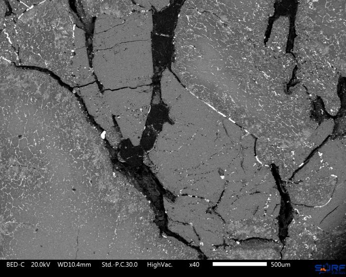 Ureilite thin section, SEM-BSE image